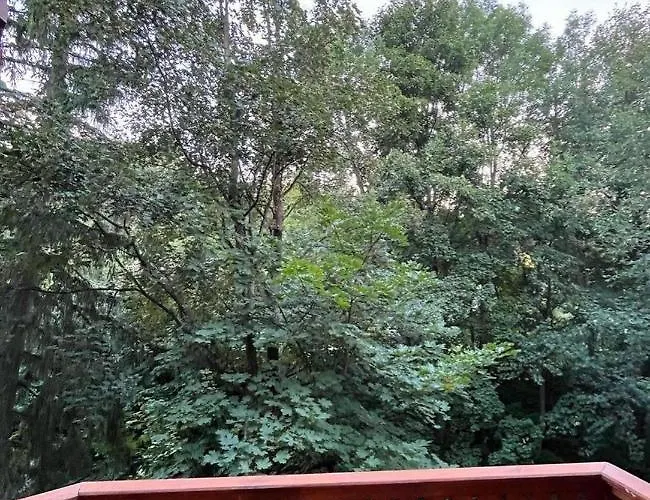 Apartment Centrum - Szum Potoku *