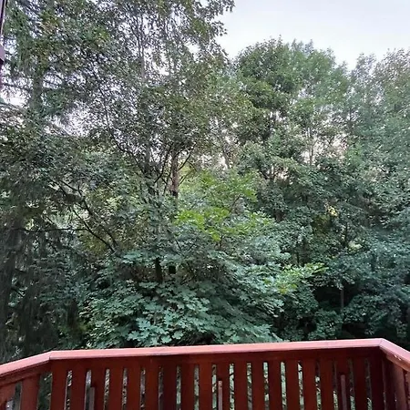 Appartement Centrum - Szum Potoku *